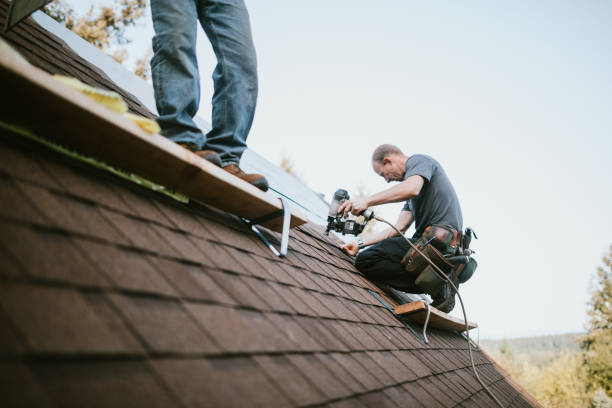 Quick and Trustworthy Emergency Roof Repair Services in Maitland, FL